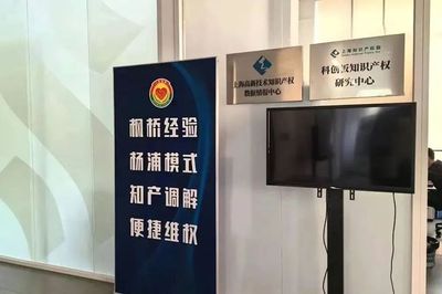 在杨浦这片'最热沃土'，创新成果'抽芽吐绿'——知识产权服务护航高质量发展